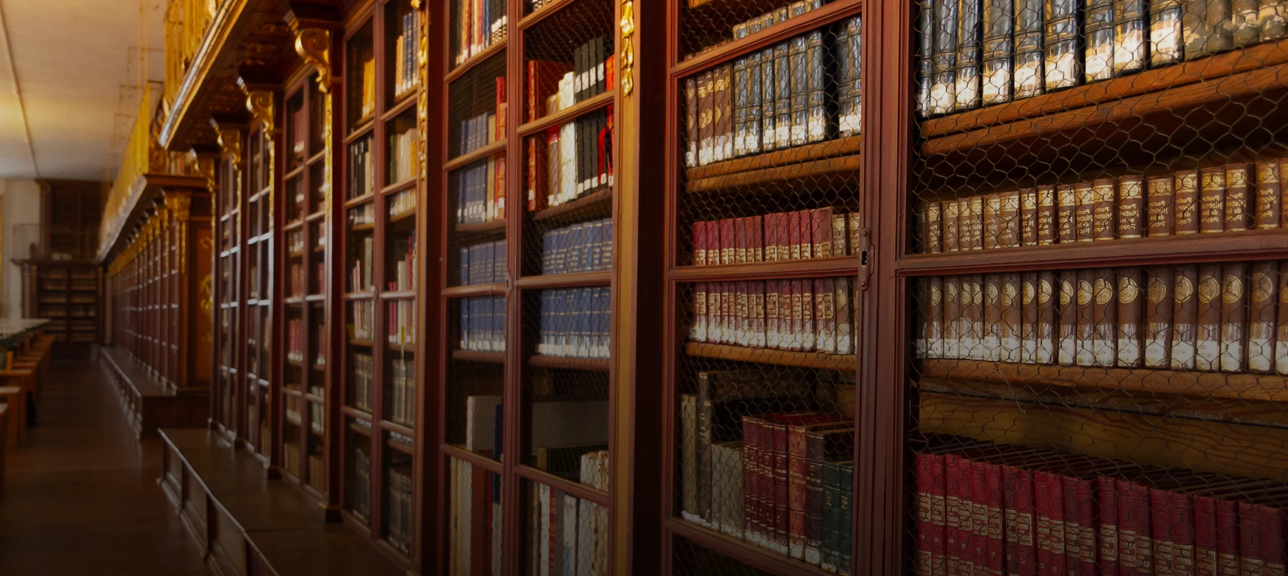old-university-shelves-culture-concept 1