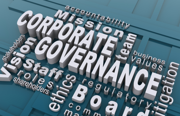 coprotate governance